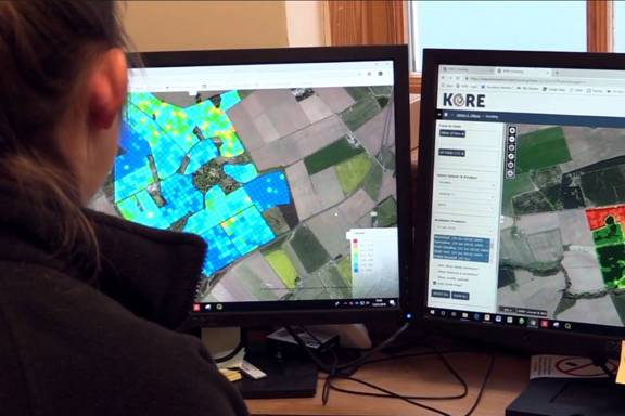 Soil Essentials team member analysing data.